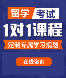 被干的骚逼留学考试一对一精品课